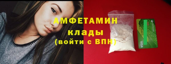 прущие грибы Заволжск