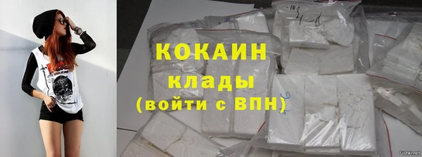 прущие грибы Заволжск