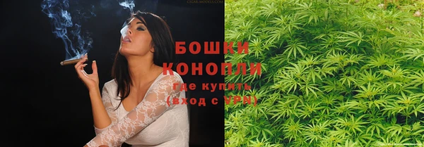 ешки Заводоуковск