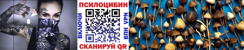 хочу Пласт Псилоцибиновые грибы прущие грибы